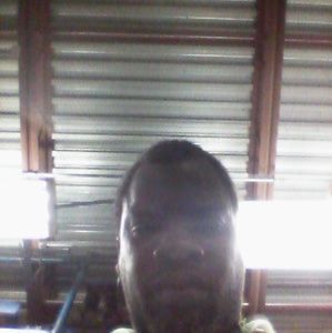 Meet your Posher, Austin